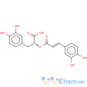 CAS No:20283-92-5 Rosmarinic acid