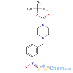 CAS No:203047-33-0 tert-butyl 4-[(3-nitrophenyl)methyl]piperazine-1-carboxylate