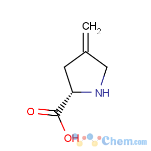 CAS No:20309-87-9 L-Proline, 4-methylene-