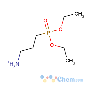 CAS No:203192-99-8 3-diethoxyphosphorylpropylazanium