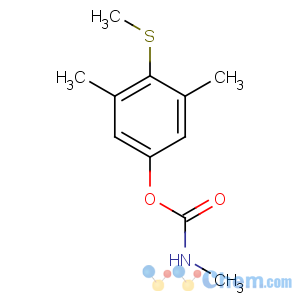 CAS No:2032-65-7 (3,5-dimethyl-4-methylsulfanylphenyl) N-methylcarbamate