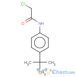 CAS No:20330-46-5 Acetamide,2-chloro-N-[4-(1,1-dimethylethyl)phenyl]-