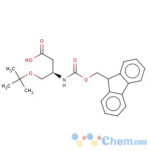 CAS No:203854-51-7 Fmoc-L-β-Homo-Ser(OtBu)-OH