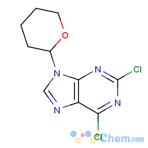CAS No:20419-68-5 2,6-Dichloro-9-(tetrahydro-2H-pyran-2-yl)-9H-purine