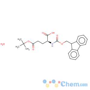 CAS No:204251-24-1 Fmoc-L-Glutamic acid-O-tert-butyl ester hydrate