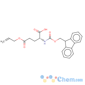 CAS No:204251-33-2 D-Glutamic acid, N-[(9H-fluoren-9-ylmethoxy)carbonyl]-,5-(2-propen-1-yl) ester