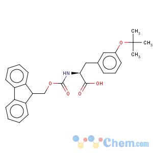 CAS No:204384-71-4 L-Phenylalanine,3-(1,1-dimethylethoxy)-N-[(9H-fluoren-9-ylmethoxy)carbonyl]-