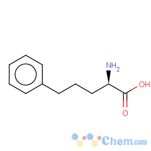 CAS No:2046-19-7 D-2-Amino-5-phenylpentanoic acid