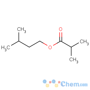 CAS No:2050-01-3 3-methylbutyl 2-methylpropanoate