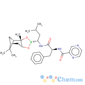 CAS No:205393-22-2 Bortezomib-pinanediol