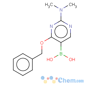 CAS No:205672-21-5 4-benzyloxy-2-dimethylamino-pyrimidine-5-boronic acid