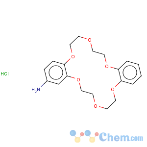 CAS No:205873-22-9 Dibenzo[b,k][1,4,7,10,13,16]hexaoxacyclooctadecin-2-amine,6,7,9,10,17,18,20,21-octahydro-, hydrochloride (1:1)