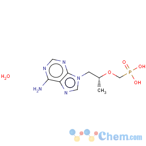 CAS No:206184-49-8 9-[(R)-2-(Phosphonomethoxy)propyl]adenine monohydrate