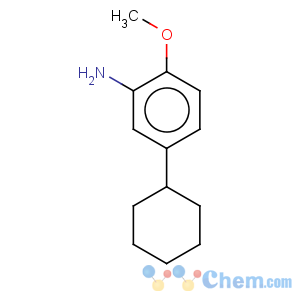 CAS No:206559-52-6 Benzenamine,5-cyclohexyl-2-methoxy-