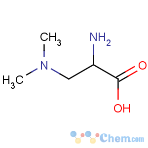 CAS No:206559-98-0 (2R)-2-amino-3-(dimethylamino)propanoic acid