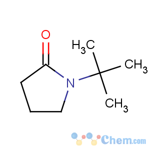 CAS No:20687-53-0 1-tert-butylpyrrolidin-2-one
