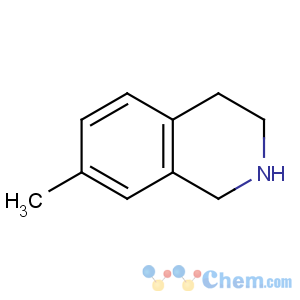 CAS No:207451-81-8 7-methyl-1,2,3,4-tetrahydroisoquinoline