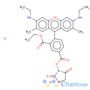 CAS No:209112-21-0 5-Carboxyrhodamine 6G succinimidyl ester