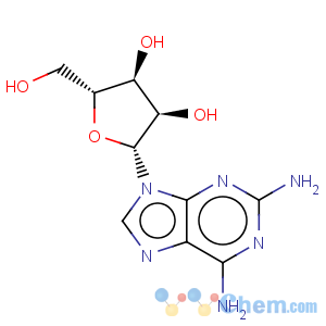 CAS No:2096-10-8 2-Aminoadenosine