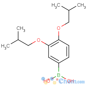 CAS No:209673-76-7 [3,4-bis(2-methylpropoxy)phenyl]boronic acid