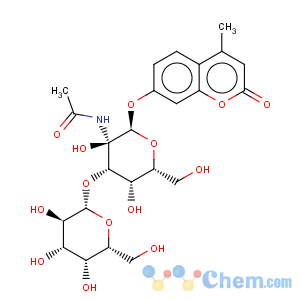 CAS No:210357-36-1 2H-1-Benzopyran-2-one,7-[[2-(acetylamino)-2-deoxy-3-O-b-D-galactopyranosyl-a-D-galactopyranosyl]oxy]-4-methyl-