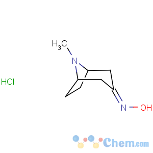 CAS No:212079-30-6 8-Azabicyclo[3.2.1]octan-3-one,8-methyl-, oxime, hydrochloride (1:1)