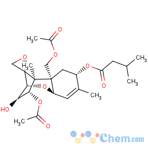 CAS No:21259-20-1 Trichothec-9-ene-3,4,8,15-tetrol,12,13-epoxy-, 4,15-diacetate 8-(3-methylbutanoate), (3a,4b,8a)-