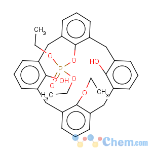 CAS No:212612-16-3 25-Ethoxy-27-diethoxyphosphoryloxycalix[4]arene