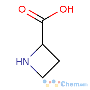 CAS No:2133-34-8 (2S)-azetidine-2-carboxylic acid