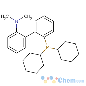 CAS No:213697-53-1 2-(2-dicyclohexylphosphanylphenyl)-N,N-dimethylaniline
