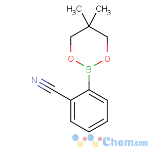 CAS No:214360-47-1 2-(5,5-dimethyl-1,3,2-dioxaborinan-2-yl)benzonitrile
