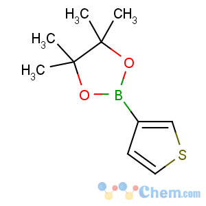 CAS No:214360-70-0 4,4,5,5-tetramethyl-2-thiophen-3-yl-1,3,2-dioxaborolane