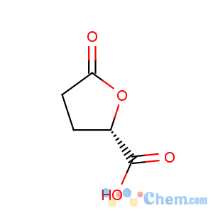 CAS No:21461-84-7 (R)-5-Oxotetrahydro-2-furancarboxylic acid