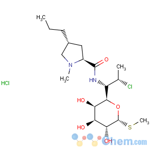CAS No:21462-39-5 Clindamycin hydrochloride
