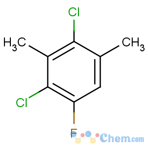CAS No:214774-61-5 2,4-dichloro-1-fluoro-3,5-dimethylbenzene