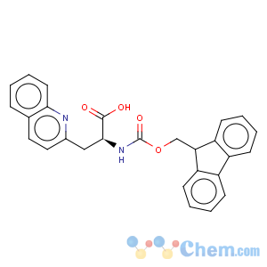 CAS No:214852-56-9 2-Quinolinepropanoicacid, a-[[(9H-fluoren-9-ylmethoxy)carbonyl]amino]-,(aS)-