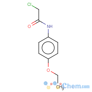 CAS No:2153-08-4 Acetamide,2-chloro-N-(4-ethoxyphenyl)-