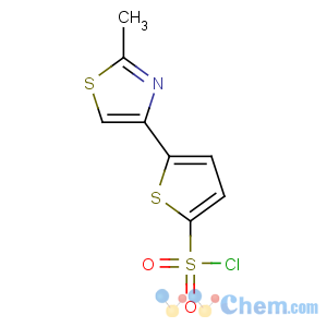 CAS No:215434-25-6 5-(2-methyl-1,3-thiazol-4-yl)thiophene-2-sulfonyl chloride