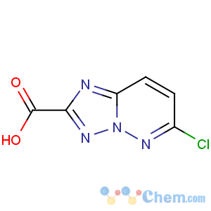 CAS No:215530-62-4 6-chloro-[1,2,4]triazolo[1,5-b]pyridazine-2-carboxylic acid