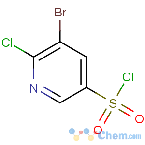 CAS No:216394-05-7 5-bromo-6-chloropyridine-3-sulfonyl chloride