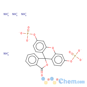CAS No:217305-49-2 Fluorescein diphosphate tetraammonium salt