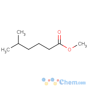 CAS No:2177-83-5 methyl 5-methylhexanoate