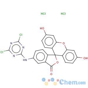 CAS No:21811-74-5 Spiro[isobenzofuran-1(3H),9'-[9H]xanthen]-3-one,5-[(4,6-dichloro-1,3,5-triazin-2-yl)amino]-3',6'-dihydroxy-, hydrochloride(1:1)