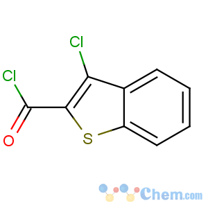 CAS No:21815-91-8 3-chloro-1-benzothiophene-2-carbonyl chloride