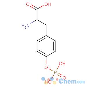 CAS No:21820-51-9 (2S)-2-amino-3-(4-phosphonooxyphenyl)propanoic acid