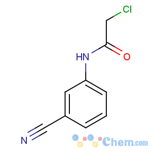 CAS No:218288-43-8 2-chloro-N-(3-cyanophenyl)acetamide