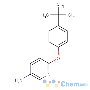 CAS No:218457-67-1 6-(4-tert-butylphenoxy)pyridin-3-amine