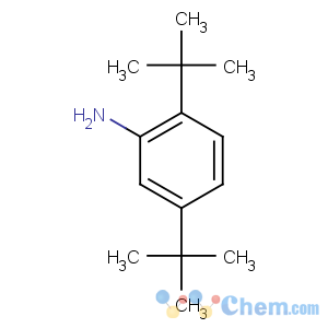 CAS No:21860-03-7 2,5-ditert-butylaniline