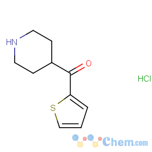 CAS No:219540-76-8 piperidin-4-yl(thiophen-2-yl)methanone
