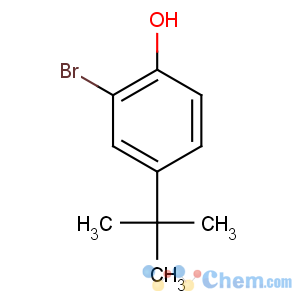 CAS No:2198-66-5 2-bromo-4-tert-butylphenol